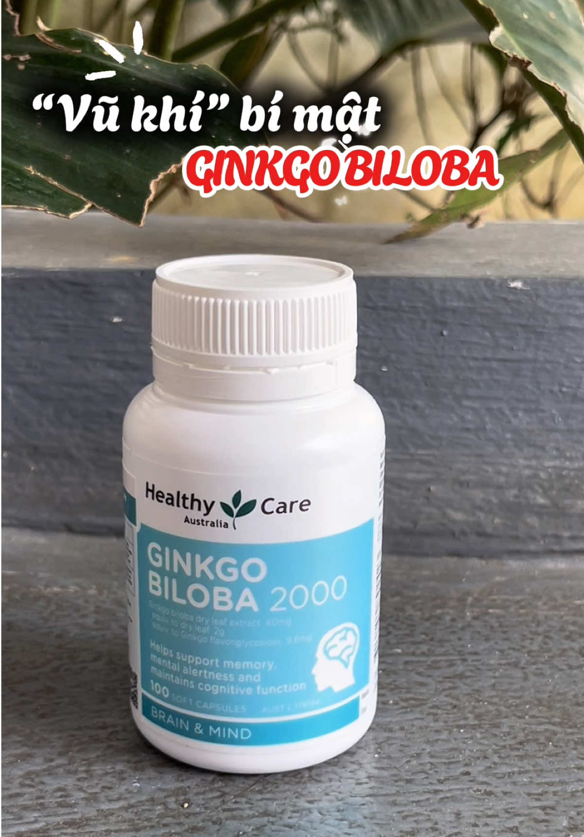 Viên uống bổ não Ginko Biloba hỗ trợ tăng cường tuần hoàn máu, hỗ trợ giảm stress, mệt mỏi, giúp ngủ ngon hơn  #xuhuong #quynhnhureview #ginkobiloba #healthycare #trinho 