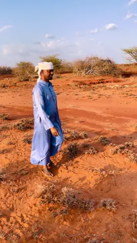 #somalilandtiktok💚🤍❤ #somailtiktok #s 