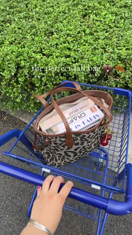 Obsessed🍁🍁🍂🍂🐆🐆💕 #christiantiktok #giftidea #bag #crossbodybag #purse                     