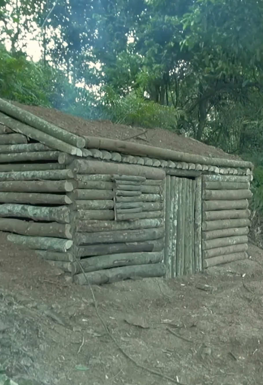 #survival #shelter #bushcraft #camping #foryou #treehouse #fyp 