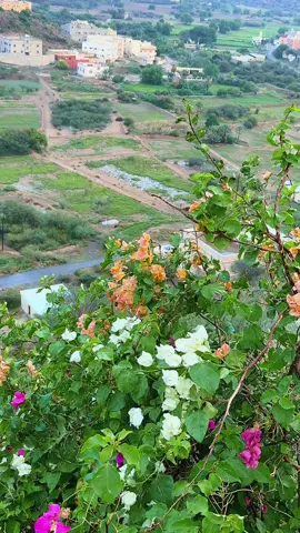 #تصويري #امطار_الخير #سبت_شمران #ديرتي #سبت_شمران 