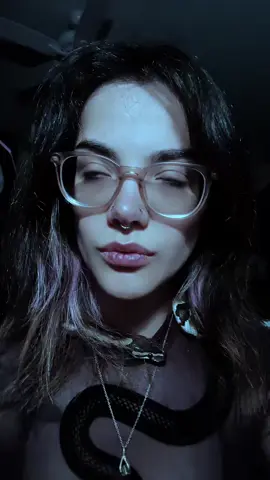 A little draft post with the snake 🐍 #snake#ballpython#drafts#postyourdrafts#mycore  