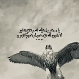 #fyp #4u #شعر #قصيد #محمد_عبده 