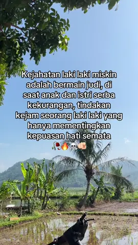 #katakata #katakatauntuksuami #storywa #storywhasapp #katakatasedihkecewa 
