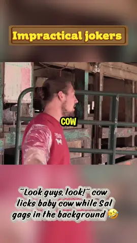 Impractical jokers moments #impracticaljokersedit #murr #joe #sal #quinn #fyp #foryou 
