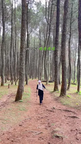 adem banget #gunung #pendaki #gunungputri #explore 