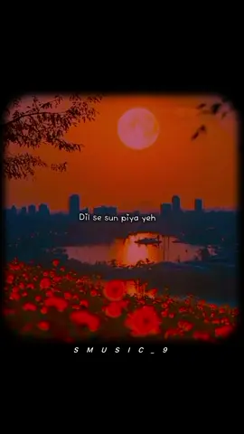 Dil se din piya yeh 🫶🫀🥀 #new #trending #hindisong #lyrics #lyricsvideo 