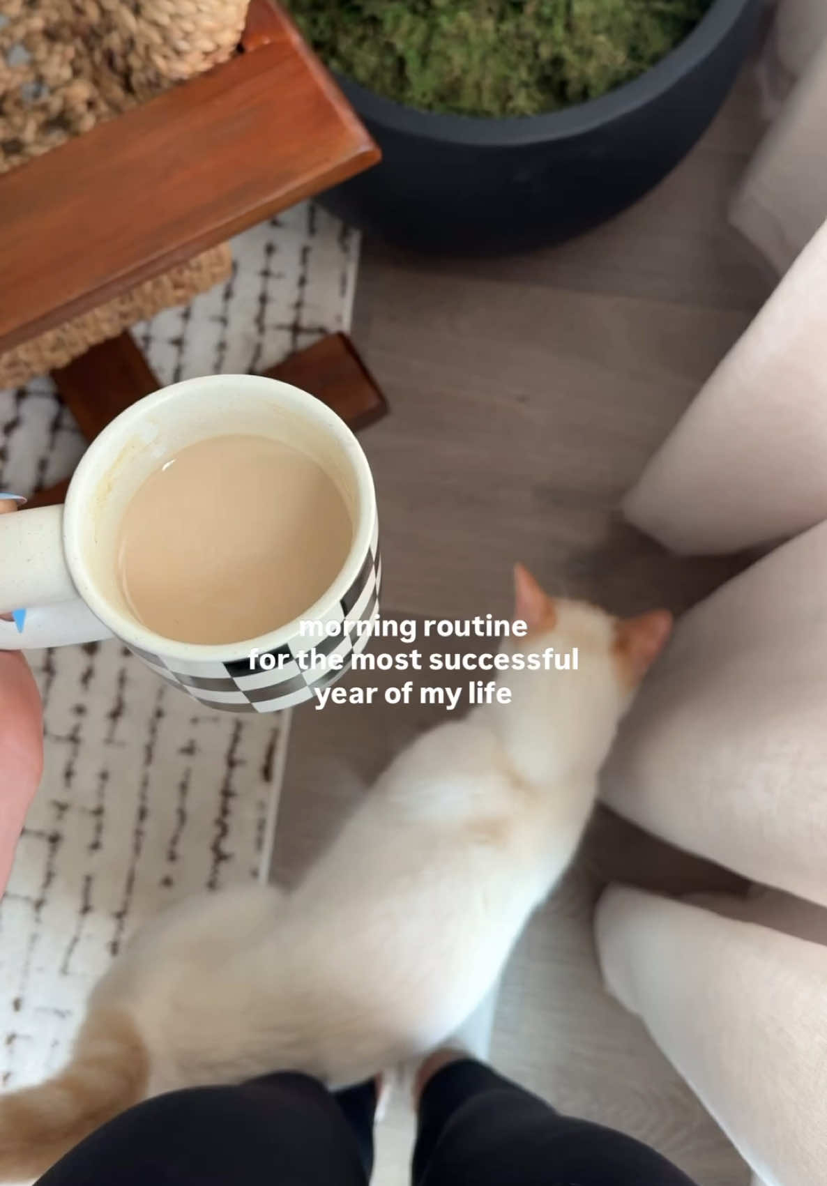 I’ve been really intentional about my health this year and it’s wild how much it’s overflowed into every other part of my life. 💫 Simple things like staying consistent with my supplements, getting outside for walks, drinking actual water (not just coffee 🤭), and taking care of my skin (thanks @pacificabeauty ) made me feel so much better overall. Wellness isn’t just a routine, it’s a lifestyle and I’m so grateful to partner with brands who are here to support that. From their affordability to their sustainability mission, @pacificabeauty is transforming routines into moments of delight. ✨ #PacificaPartner 