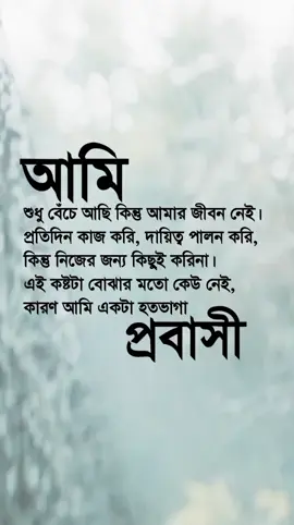 আমি হতভাগা প্রবাসী  #emotional #probashi #প্রবাস #fyp #নির্ঘুম 