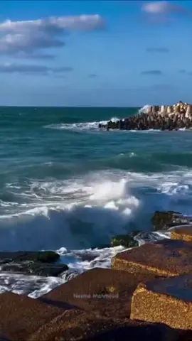 يارب