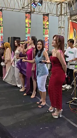 detik-detik biduan kesurupan diatas panggung #biduandangdut #biduancantik #dangdutkoplo #viralvideo #fyppppppppppppppppppppppp 