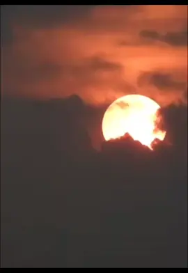 EL SOL ENTRE LAS NUBES. REBELANDO OTRA MENTIRA MAS. #livewithlowfollowers #sol #profundo #cupula 