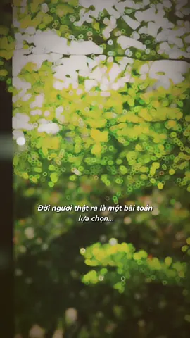 Lựa chọn của mình, dù đúng hay sai thì cứ hãy là lựa chọn của mình #viết_lại_thanh_xuân #tamtrang #cuocsong #anyen 