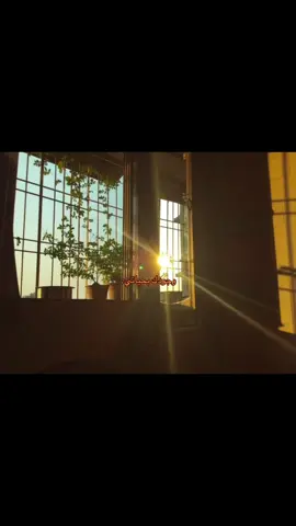 #explore #fyp #sun #sunset #her 