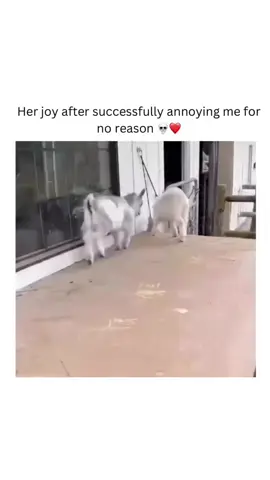 Whenever😂💐 #onlyloye 