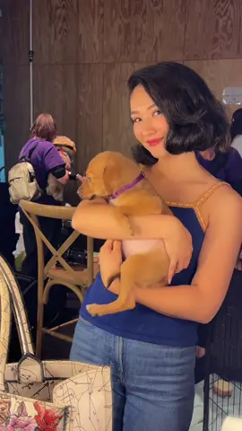 Backstage with man’s best friend