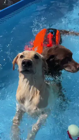 Best surprise EVER 🏖️