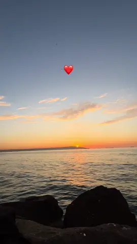 #LIVEIncentiveProgram #LIVEStory #PaidPartnership 