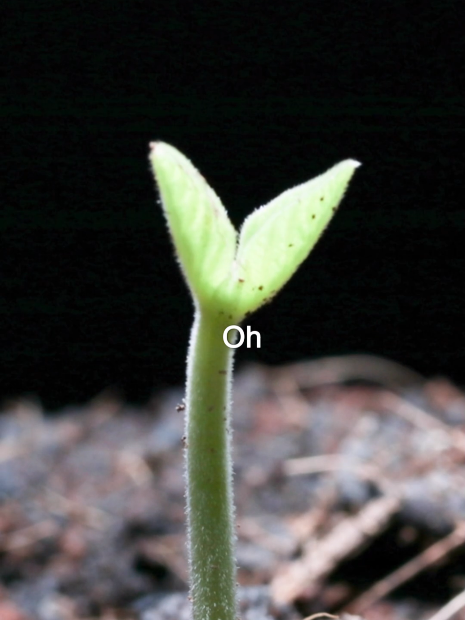 Some people asked if I can share just the song without the scripture part. So here it is!  