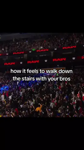 the hounds of justice #relatable #WWE #fyp #theshield 