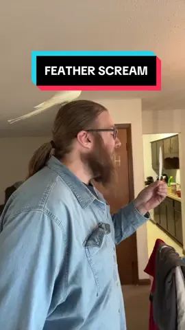 Screaming at one of my bird’s feathers! #feather #feathers #cockatielsoftiktok #cockatiel #birb 