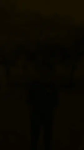 🥀❤️🥰🥰🥀🥀