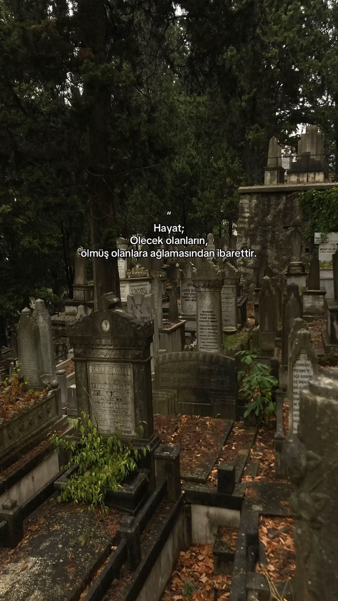 #keşfet #muslim #fy #fyppppppppppppppppppppppp 