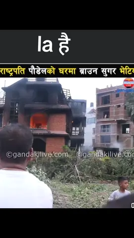 #creatorsearchinsights #