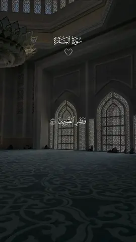 من سورة البقرة القارئ ماهر المعيقلي 🤍#ماهرالمعيقلي #قرآن_کریم #قرآن #quran_alkarim 