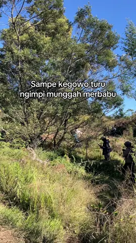 Tulungg inpone #pendakigunung #merbabumountain #fyp #pendakifomo 
