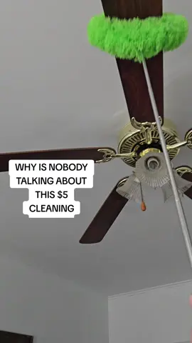 Clean your ceiling fans the EASY way ✨ This $5 extendable ceiling fan duster reaches high spots, traps dust, and makes cleaning effortless—no ladder needed! 🪶 #ceilingfanduster  #homecleaninghacks  #dustingmadeeasy  #cleaningessential 