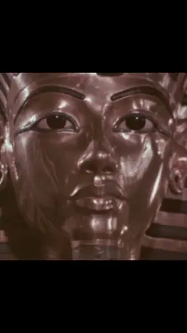 Immortality #egypt 