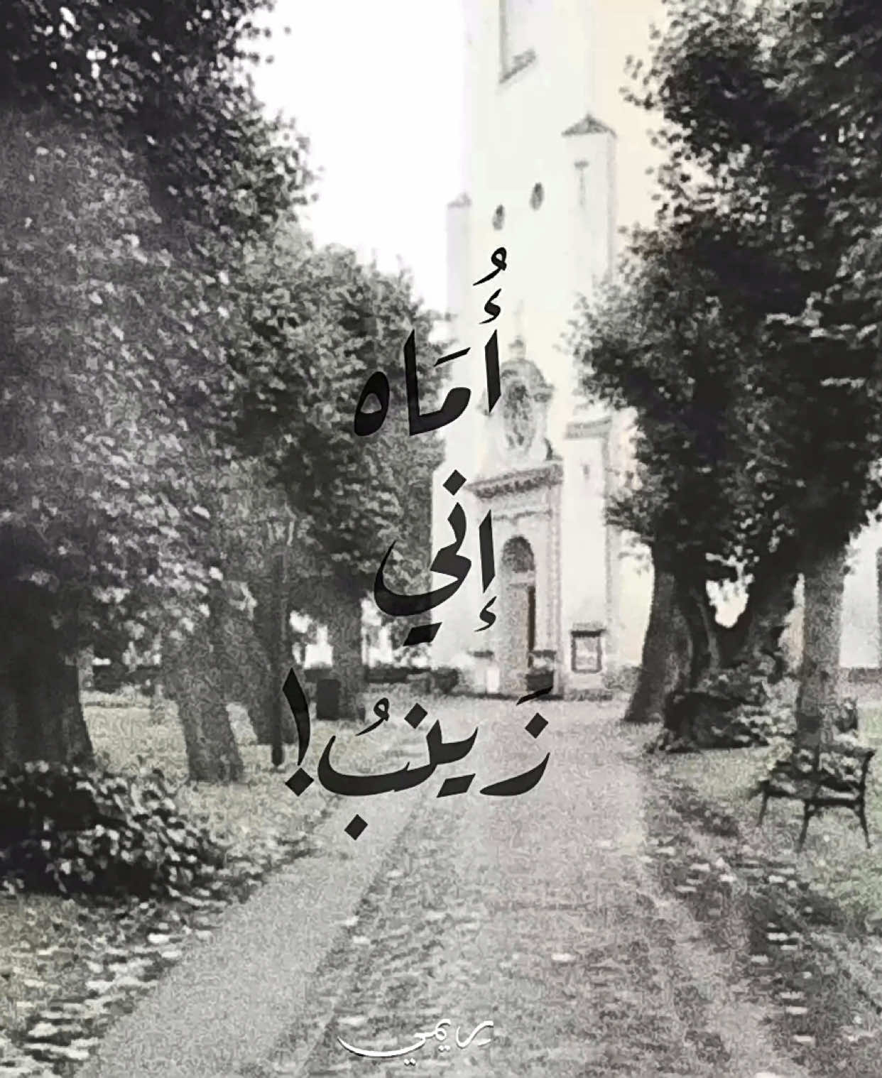 أبنَاؤكِ قَد ذَهبُوا والوَعدُ أن لَا يَذهبُوا😣..!!!           #fyp #foryou #foryoupage #fypシ #tiktok 