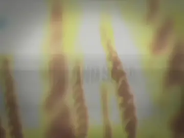 ملحمة فينلاند 2019 #VinlandSaga #anime #foryo #fyp #تيم_مصممين_دراغون_بول🐉🔥 