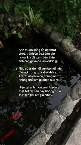…#tamtrang #story 