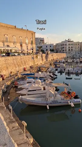 📍Trani, Puglia - Italia 🇮🇹  Se ami viaggiare, seguici per non perdere altri itinerari ☝🏻  . . #trani #puglia #pugliaitaly #puglia_mylove #puglialovers #weareinpuglia #visitpuglia #italia #italy #travel #traveltiktok #panorama #paesaggi #paesaggiitaliani #mare #sea #borghi #borghipiubelliditalia #viaggiare #viaggiarecontiktok #tik_tok #neiperte #foryou #fyu 