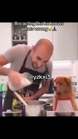 #yzkxi3 #fy #meme 