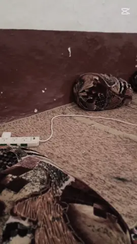 Me and my sister 💖💖 Sana batool#markhor #fyppppppppppppppppppppppp #foryoupage #foryoupage❤️❤️ 