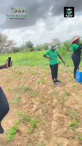 @Agridronevision « L’innovation qui fait germer l’espoir : de la Forge aux #FermesDeLespoirs avec Agri Drone Vision » #JardinsDeLespoirs #ESP #ISEPBignona