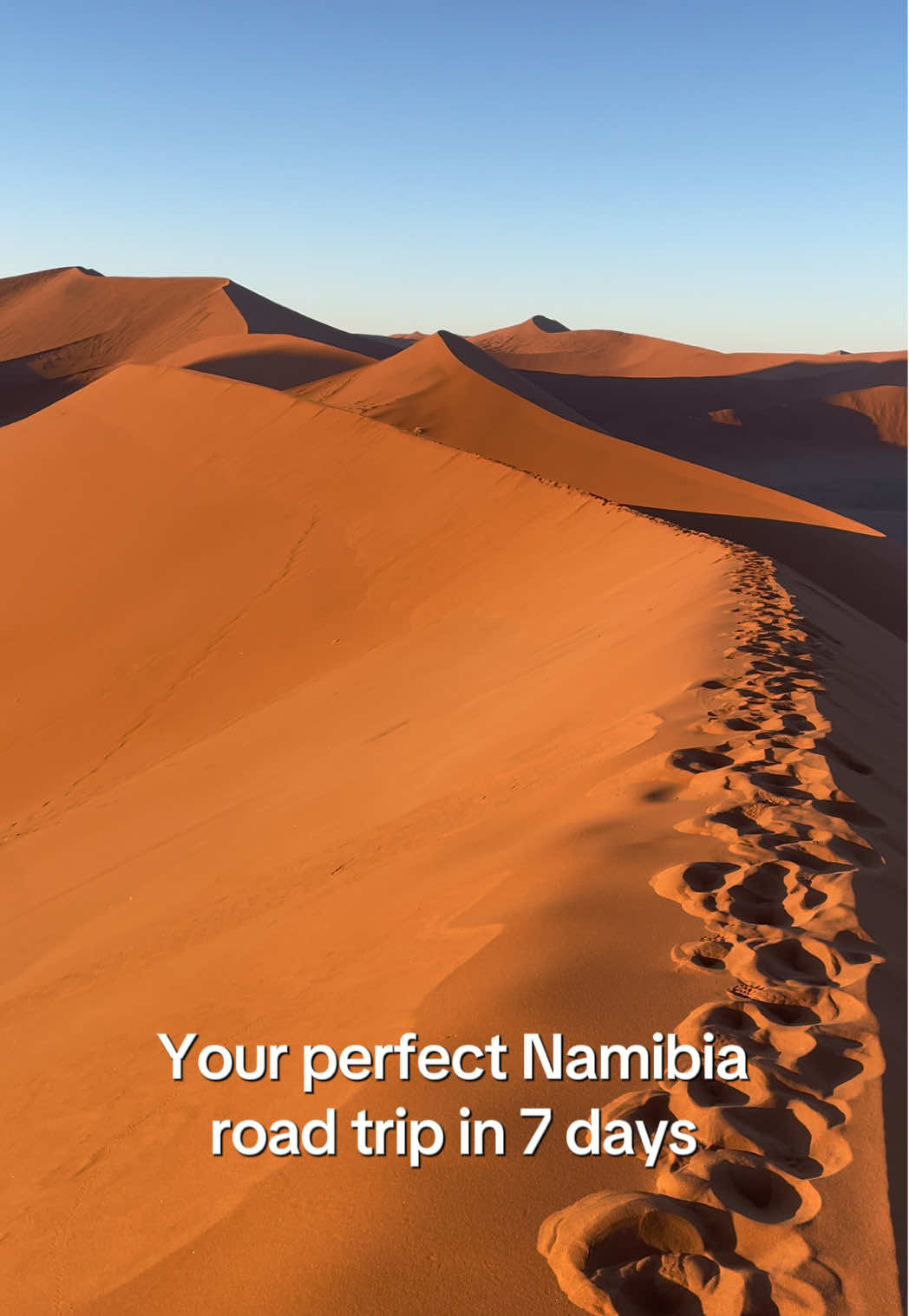 Planning your first self-drive in Namibia? Here’s the ultimate 7-day route:   Day 1: Windhoek to Sossusvlei dunes Day 3 – 4: Sandwich Harbour & Swakopmund coast adventure Day 5 – 6: Etosha safari Day 7: Return to Windhoek   One week = desert, coast, safari, and wide-open horizons. Save this and start planning!   Which stop excites you most? #namibiaroadtrip #travelafrica #namibiaitinerary #namibiatiktok #namibiatips 