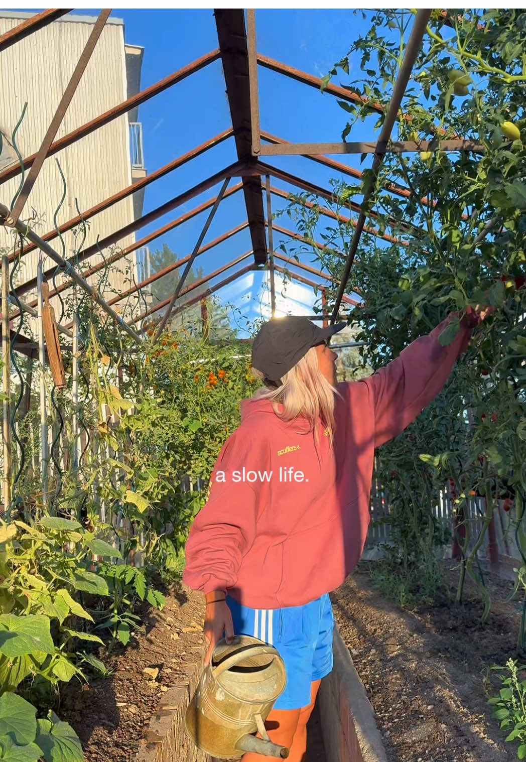 študium na státnice počká, ovce ne 🐑👩🏼‍🌾🌾