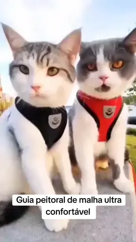 Guia peitoral para cães e gatos em malha de Nylon. Comente EU QUERO que te enviamos o link. #produtospet #achadinhos #shopee #caesegatos #mundoanimal 