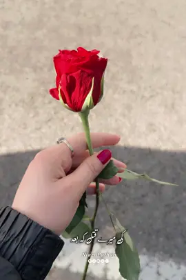 #CapCut #fyp #urdupoetrydeeplines #seeyouagain#happyfacesadsoul 