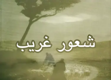ضايج  . . . . . . . . . . . .#اغاني #حزينه #تعبان #حياتي #المانيا 