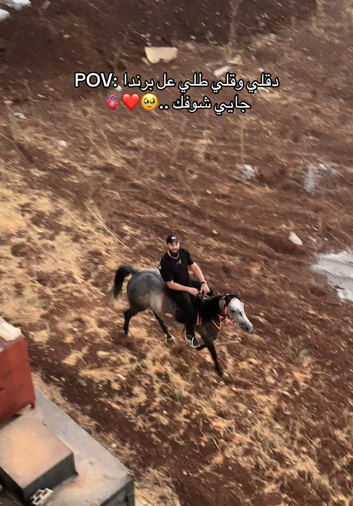 شو بحبك ❤️🫀 @Lady Carla 🫀  @Dr. Mohammad Berro 🐎  #كارلا_ابو_فارس #فوريو_العرب #فوريو #ليدي_كارلا👸 