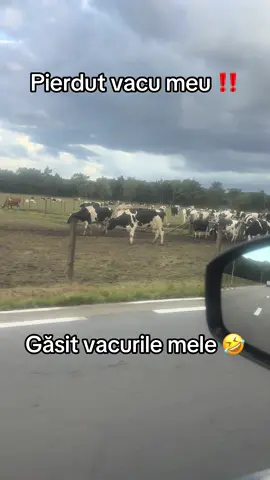 🤣🤣Ajutor 🤣🤣🤣🤣