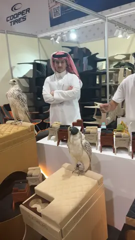 #نادي_الصيد_والصقور_السعودي #مقناص_الصيد_يشرح_الخاطر_اكسبلور #جير_شاهين_فالكون_ميوز #الشعب_الصيني_ماله_حل😂😂 #فالكون_سنتر 