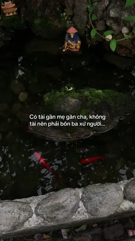 …#tamtrang #story 