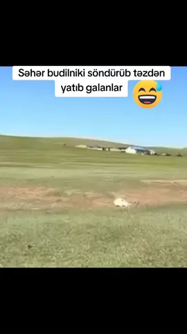 Rita)))