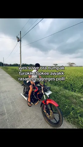 Jan ra umum #rxkingindonesia #yamaharxkingmodifganteng #storyrxking #fyp #sragen24jam 